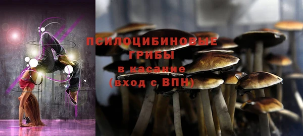 гидропоника Абинск