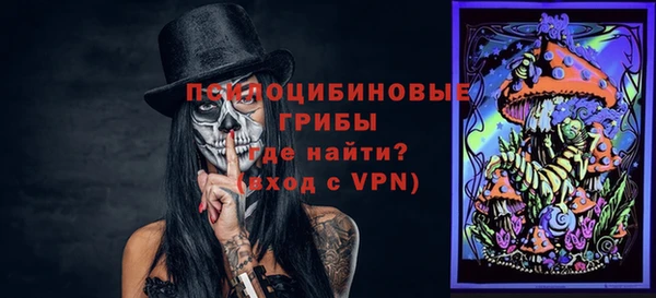 соль ск Абаза
