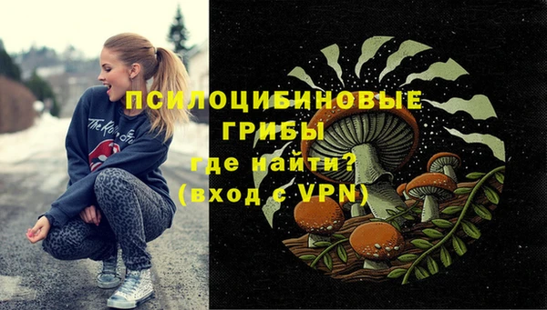 гидропоника Абинск
