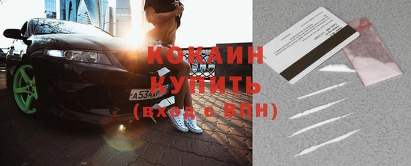 соль ск Абаза