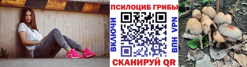 Псилоцибиновые грибы ЛСД  закладки  Вытегра 